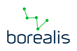 Borealis Logo Color - Communication Metrics Partner